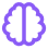 brain